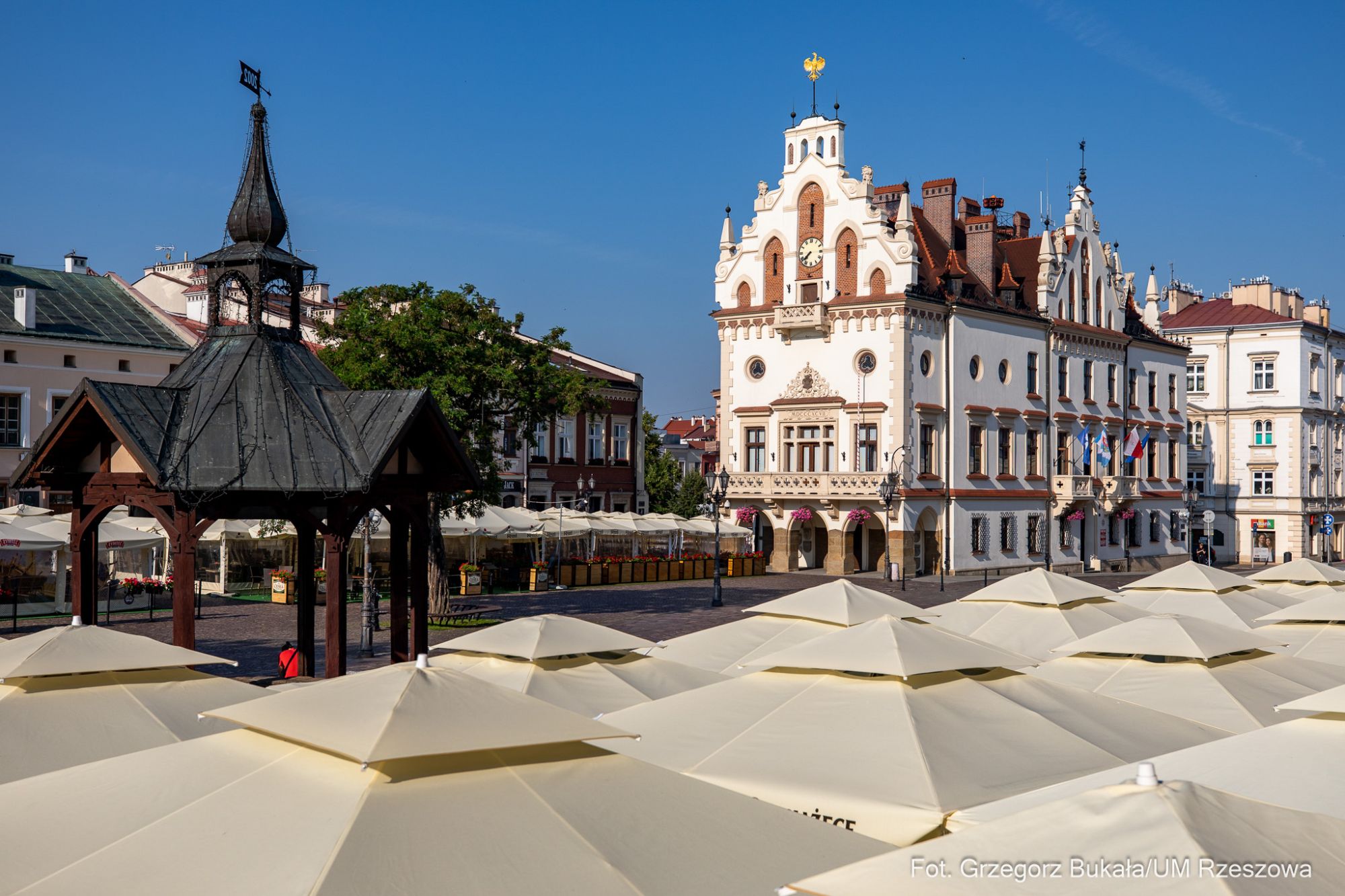 zdjęcie rzeszowskiego Ratusza